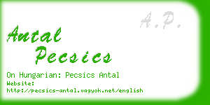 antal pecsics business card